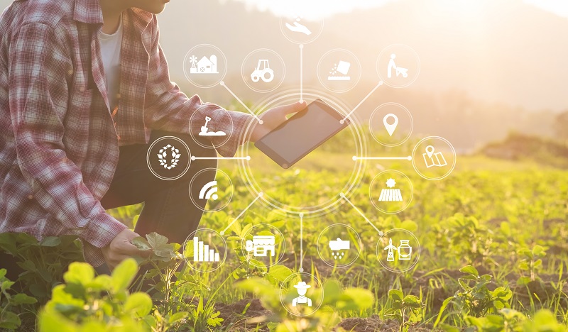 الزراعة الرقمية