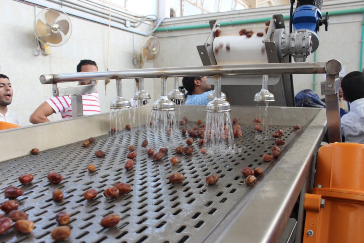 الصناعات الغذائية