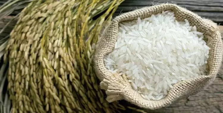 حظر تصدير الأرز