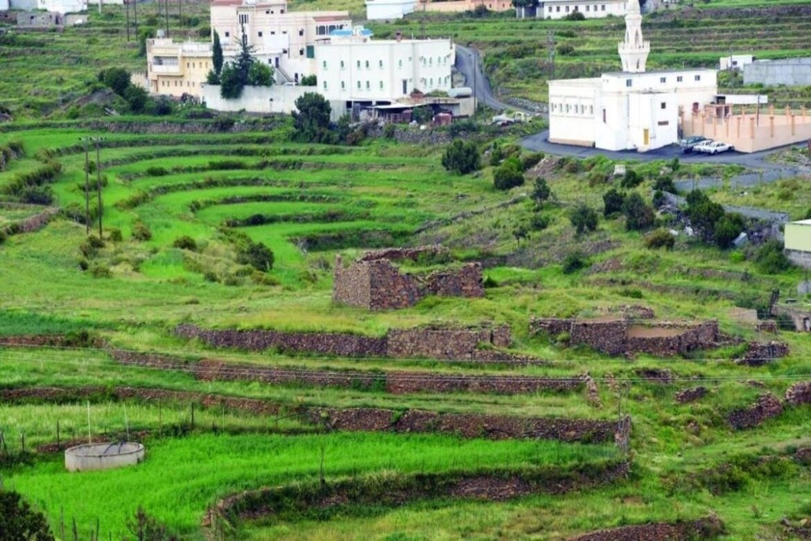 السعودية تدخل موسوعة