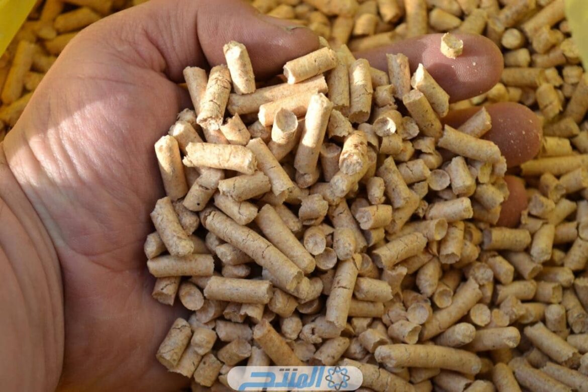 كيفية حساب الطاقة والبروتين في علف التسمين