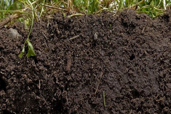 العوامل المساعدة في تكون التربة