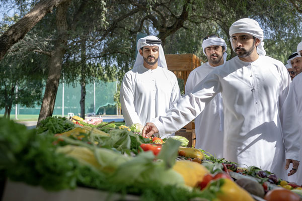 الإنتاج الزراعي الموسمي في المملكة